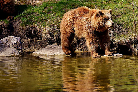 Why The Autism Acceptance Message Is Becoming More Impactful in 2023