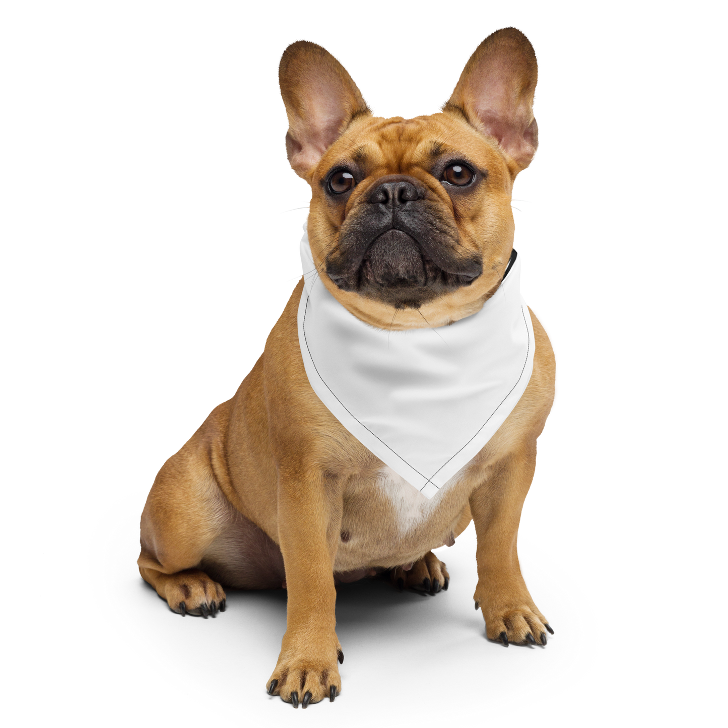 WeBearish Bandana (Black & White)